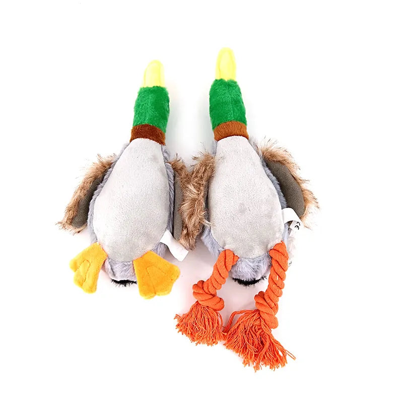 Dog Chew Toys