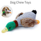 Dog Chew Toys