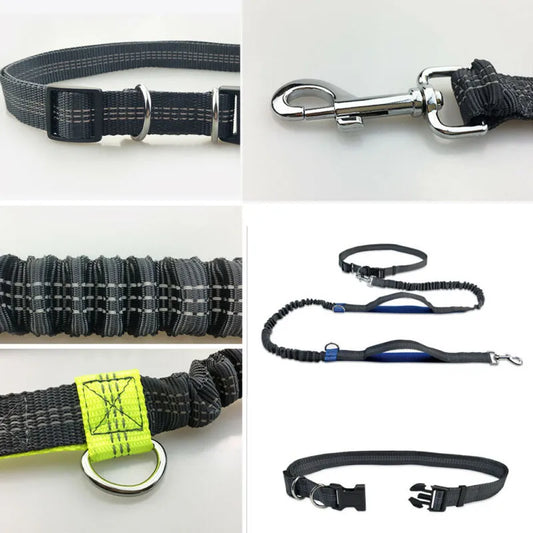 Reflective Leash Traction Rope Dog Running